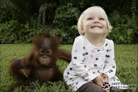 ��������� ������ (8 ����)