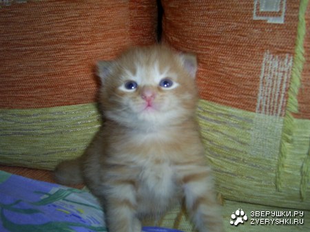 � � ��� ������� ����� ������ ����� ����� :)