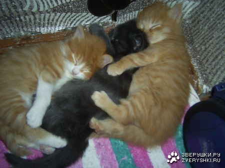 � � ��� ������� ����� ������ ����� ����� :)