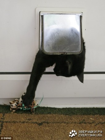 ���-��������� ;)