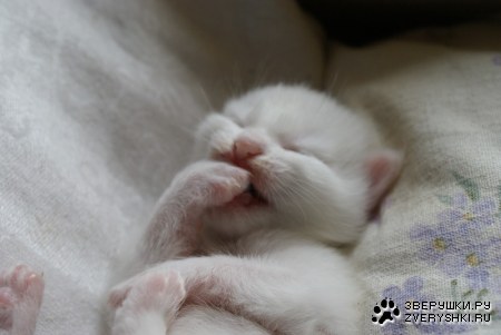 �������, ��� ������� ;)