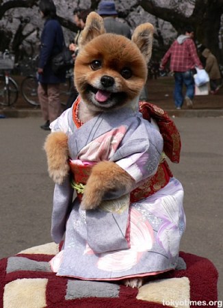 ������� � ������ ;)