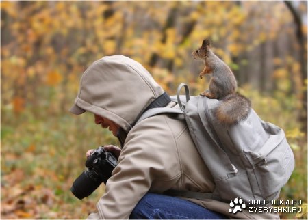 ���� �����, ��������? ;)