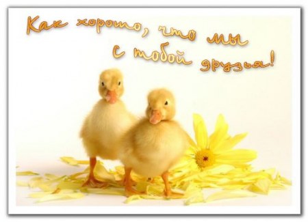 ������� ��� ��������! :)