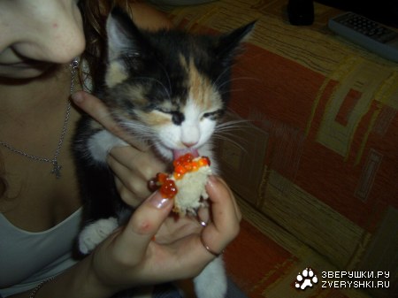 ����� � ���� ���������, �� � ������... ;)