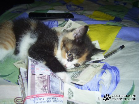 ����� � ���� ���������, �� � ������... ;)