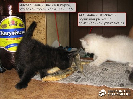 "������" :)