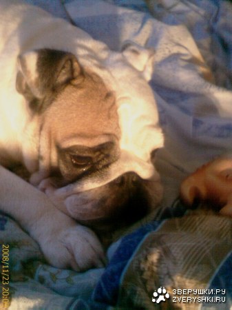 ���������� ������� "����" :)