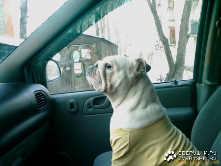 ���������� ������� "����" :)