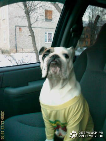 ���������� ������� "����" :)