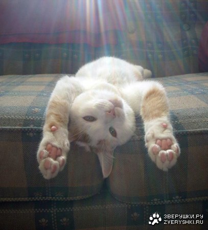 ���������� ��� ���! :)