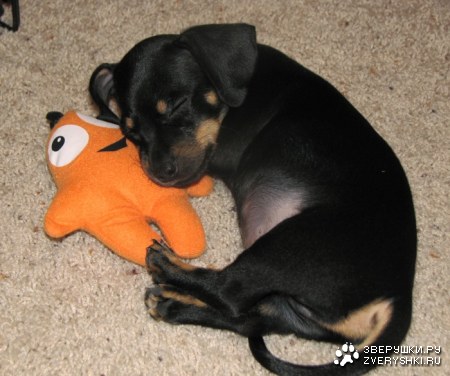 ������� ��� ;)