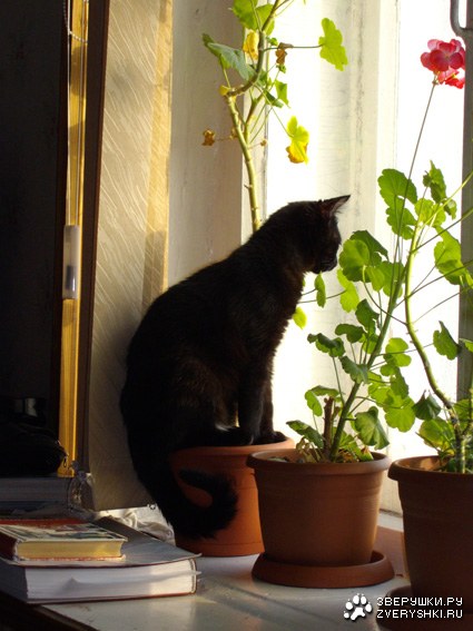 �� ���������� ������ ����� ����� ;)