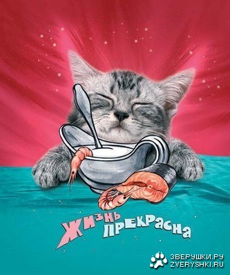 ����� ��������� :)