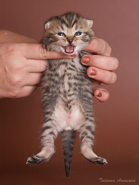 ������������� ������ :)