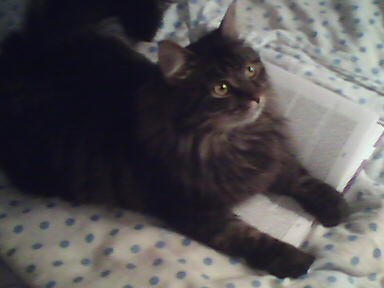 ��� ������ :)