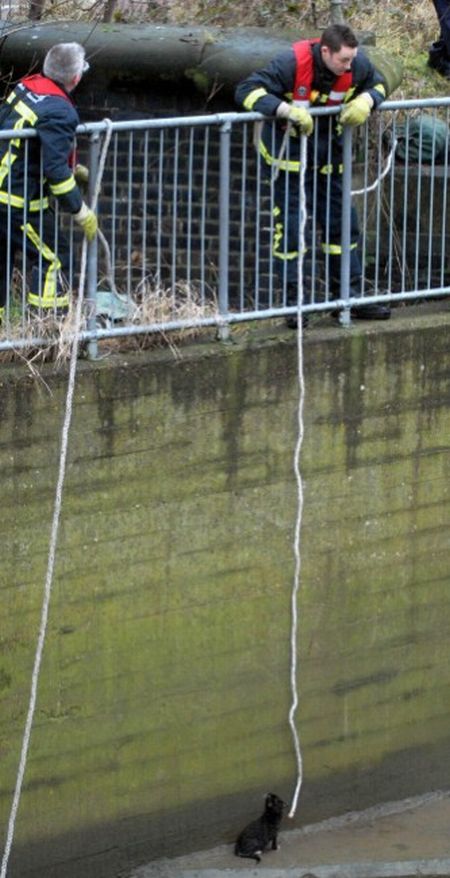 ��������������� ������� (7 ����)