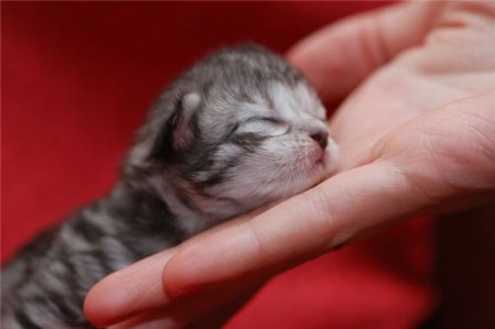 ���� ��������� �������� ;)