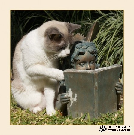 �� ������������, � ��� �� �������!