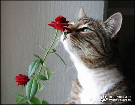 ������� ��� ���! :)