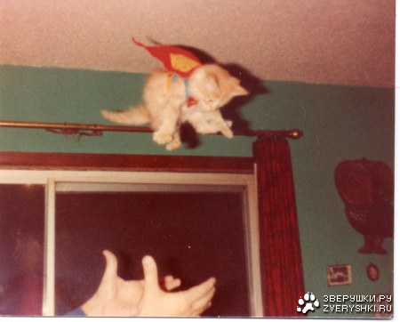 ��������! :)