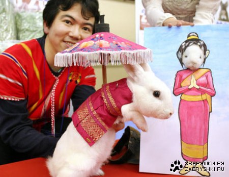 ��������������� ������ ��� �������� :)