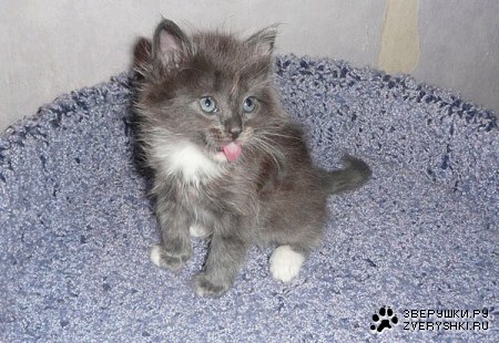 ��� ��� ;)