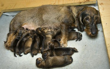 �������-�������!