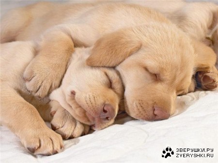 ������� ��� :)