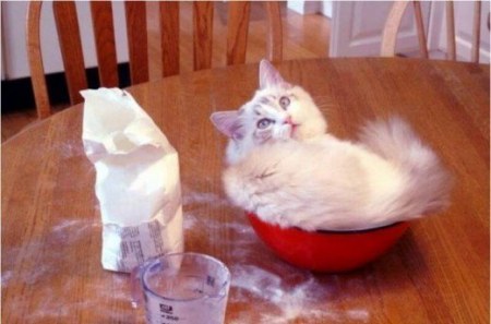 �������� ������� ;)