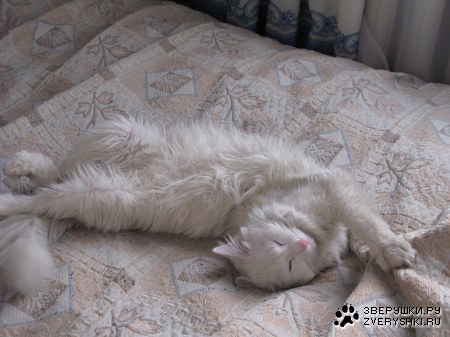 �����, ������� ���� - ���� - ���� :)