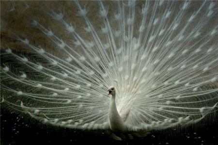 �������! :)