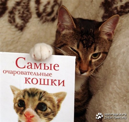 �������������� ���������� ;)