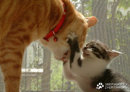 ����� ���� ����� ������� ������?! :)