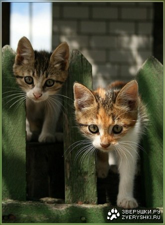 � �� ����� � ������� ������? :)