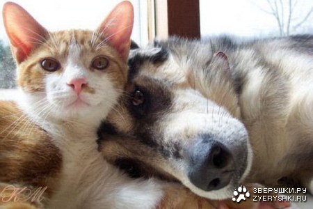 ������ ;)