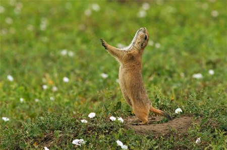 ������ ���������� �������� :)