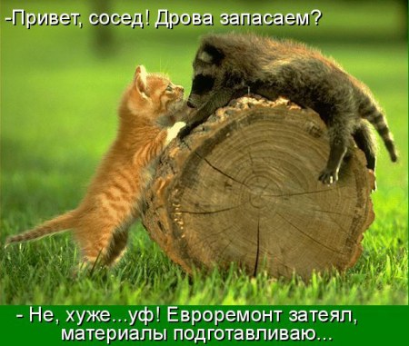 ��������� ���� (13 ����)