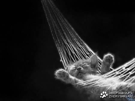 ���� ������ ;)