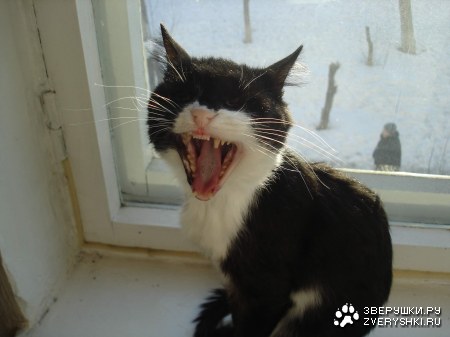 ��� �������� ����� :)