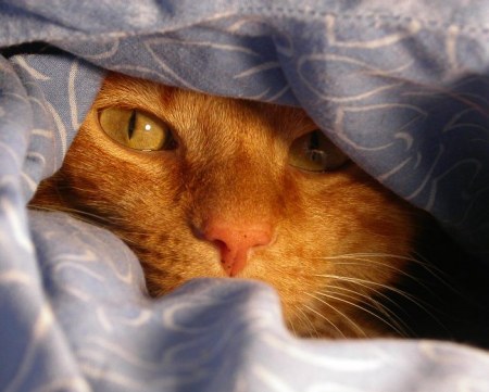 ������ � ������� :)