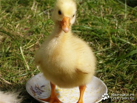 ���������� ��� ���! :)