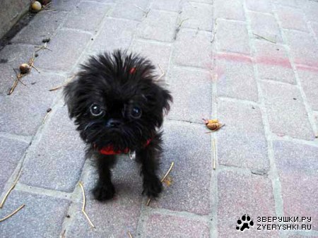 �������! :)