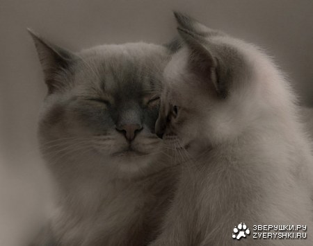 �������� ��������� :)