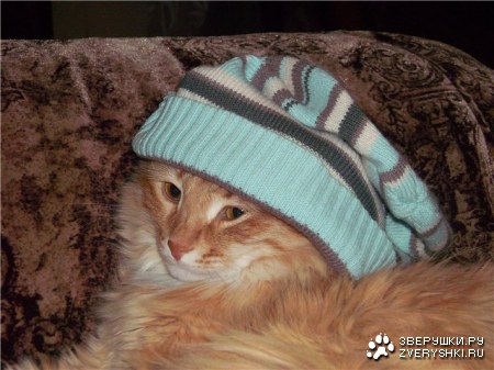 ����� ������ ;)