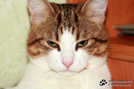 � ����� �� ����...