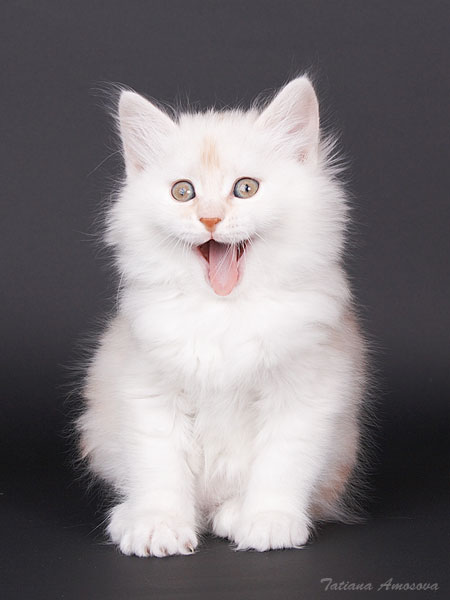 ����� ������! :)