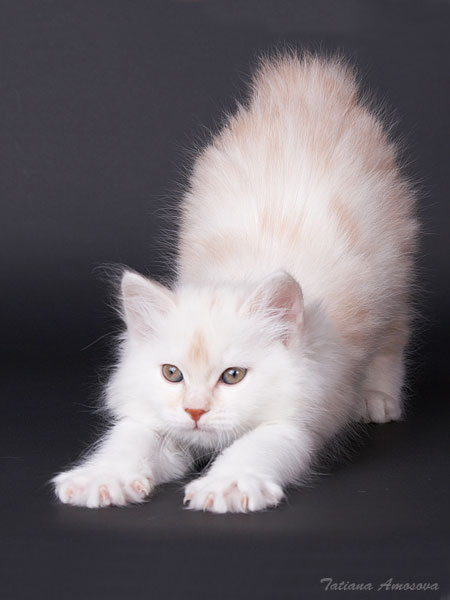 ����� ������! :)