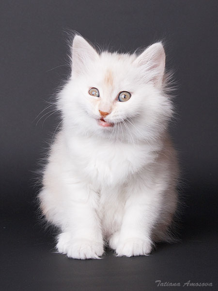 ����� ������! :)