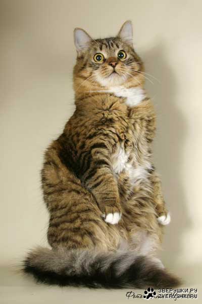 ������� � ������ (23 ����)